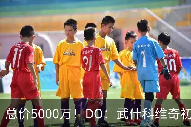 总价5000万！DO：武什科维奇初始转会费4600万镑，热刺有二转分成
